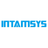 Intamsys logo