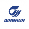 Wanhua logo
