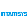Intamsys logo
